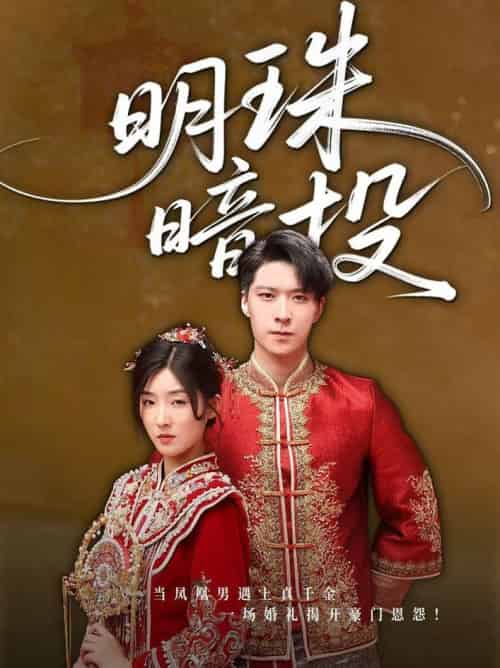 明珠暗投（60集全）牛静婕-搜外项目网