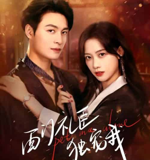 西门礼臣独宠我（80集全）刘叁肆＆康渝茜-搜外项目网