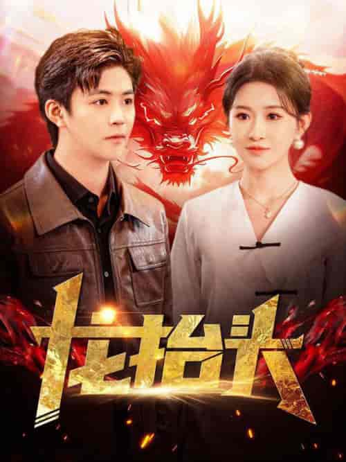 龙抬头（100集全）远霞-搜外项目网