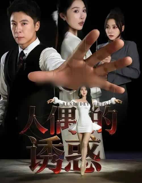 人偶的诱惑（73集全）樊纾宁＆金昊泽-搜外项目网