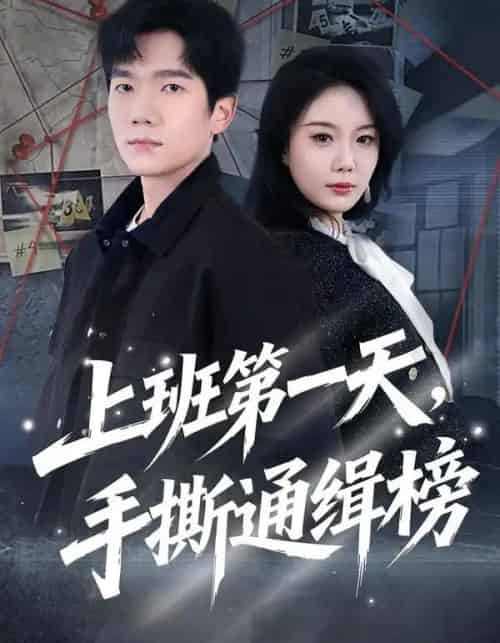 上班第一天，手撕通缉榜（79集全）文艺贞＆彭瑞风-搜外项目网