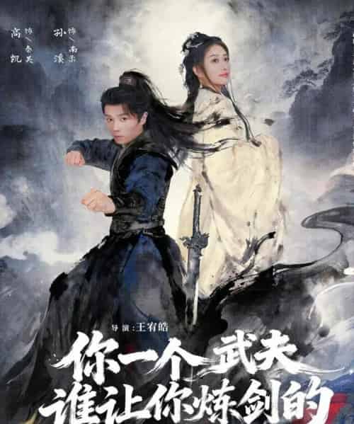 你一个武夫,谁让你炼剑的(80集全)高凯&孙溪-搜外项目网
