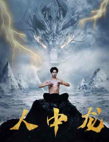 人中龙(80集)张贻乔-搜外项目网