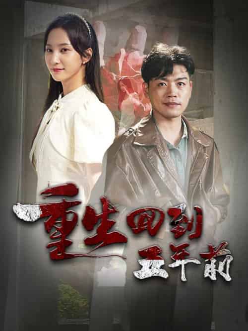 重生回到五年前(84集全)林川&孟家瑶-搜外项目网