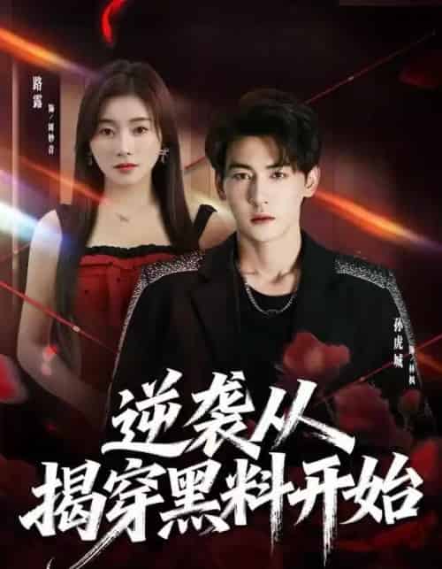 逆袭从揭穿黑料开始（80集全）孙虎城＆路露-搜外项目网