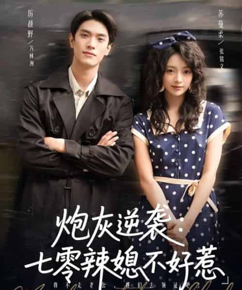 炮灰逆袭七零辣媳不好惹（78集全）万林洲＆张铭文-搜外项目网