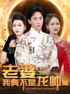 老婆我真不是龙帅啊（95集）杨洁＆游雅＆赵琪琪-搜外项目网