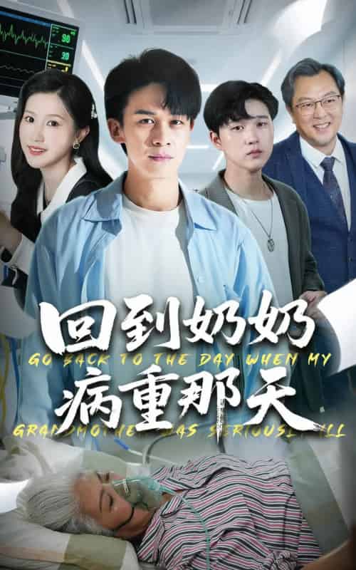 回到奶奶病重的那天（45集全）胡文飞＆甘欣然-搜外项目网