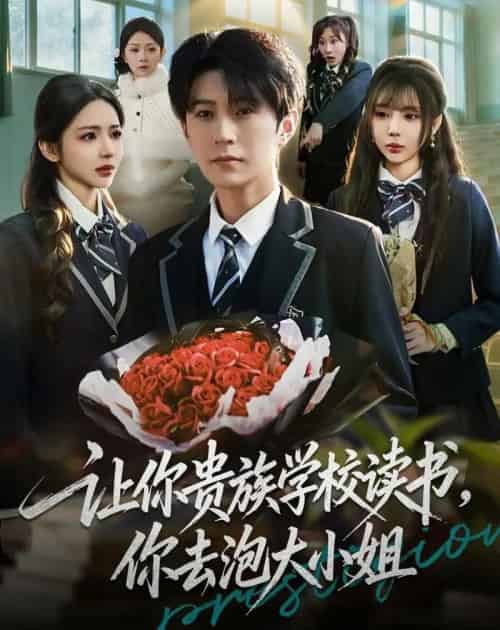 让你贵族学校读书，你去泡大小姐（71集全）月野兔＆李河源-搜外项目网