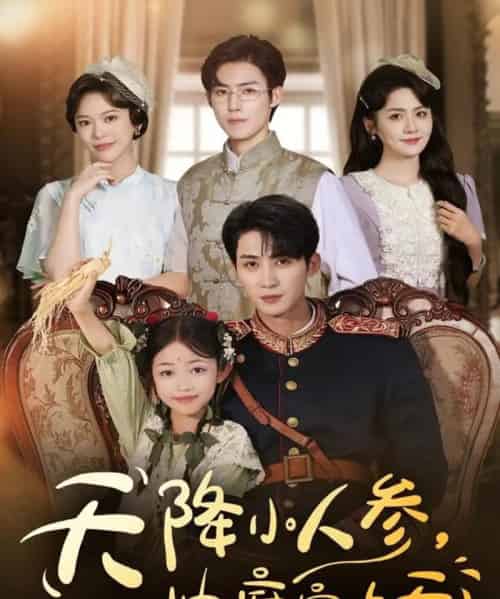 天降小人参,帅府宠上天(83集全)刘梓恒&王子菡-搜外项目网