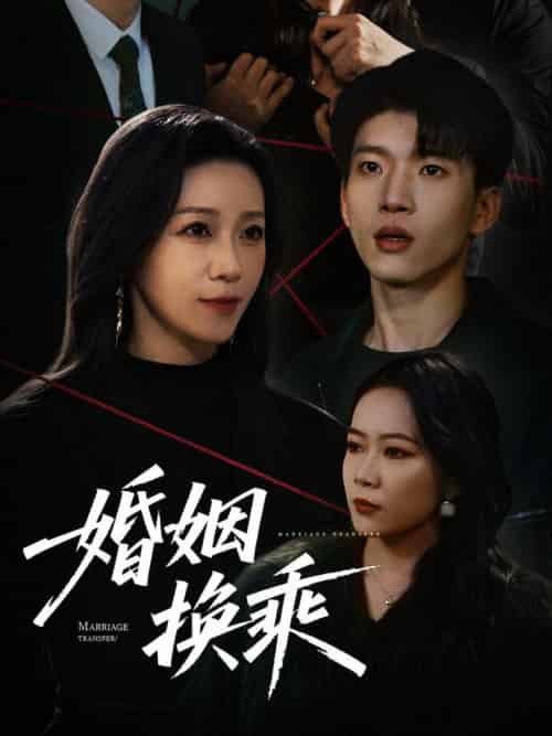 婚姻换乘（60集全）鞠瑾-搜外项目网