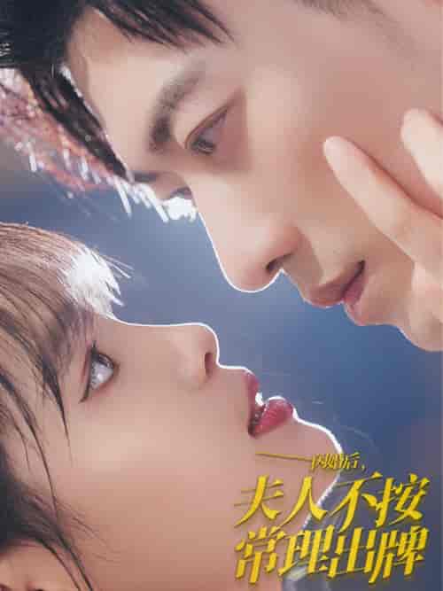 闪婚后夫人不按常理出牌（80集全）于龙＆杨咩咩-搜外项目网