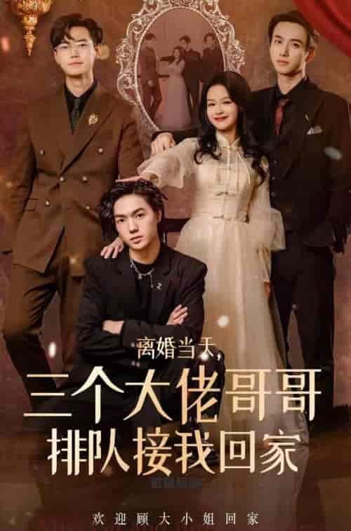 离婚当天，三个大佬哥哥排队接我回家（100集）余茵-搜外项目网