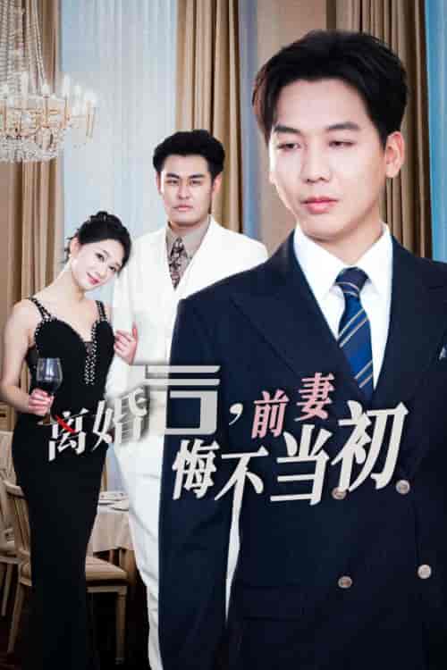 新：离婚后前妻悔不当初（32集全）-搜外项目网