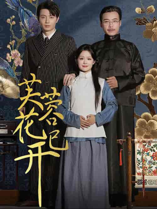 芙蓉花已开（65集全）余茵-搜外项目网