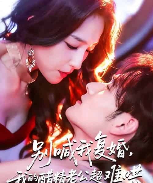 别喊我复婚，我的醋精老公超难哄＆死对头的掌心娇（89集全）夏玄子＆孟佳辉-搜外项目网