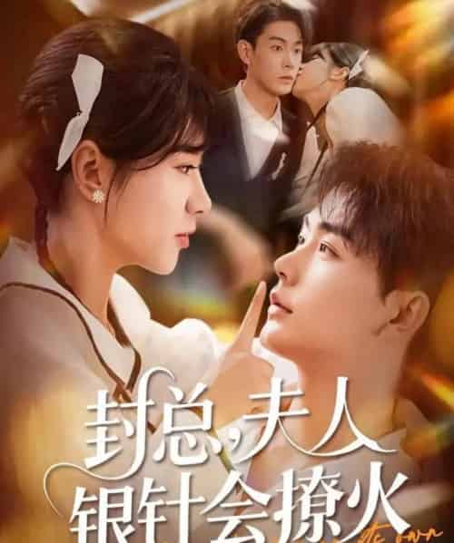 封总，夫人银针会撩火（69集全）张昊＆徐海文-搜外项目网