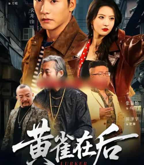 黄雀在后（82集全）张嘉怡＆朱新辉-搜外项目网