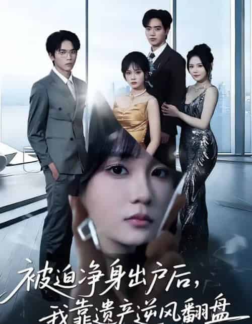 被迫净身出户后，我靠遗产逆风翻盘（40集全）李恩铭＆彭慧玲-搜外项目网