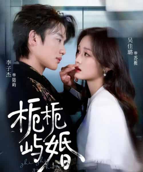 栀栀屿婚(77集全)李子杰&吴佳璐-搜外项目网