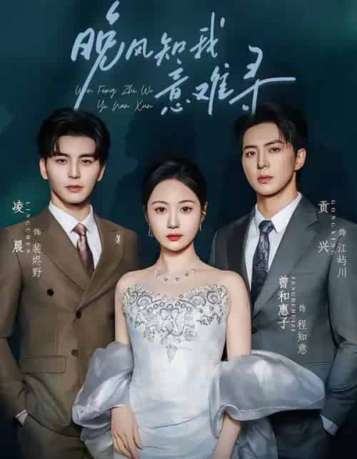 晚风知我意难寻（60集全）凌晨＆曾和惠子-搜外项目网