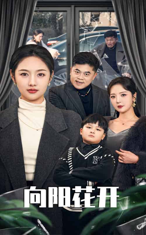 溺爱的代价＆向阳花开（40集全）李媛菁＆李明-搜外项目网