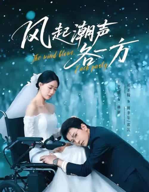 风起潮声各一方(84集全)祁圣翰&王艺舒-搜外项目网