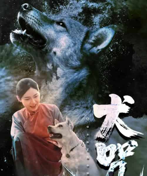 犬咒（45集全）范高坡＆花果果-搜外项目网