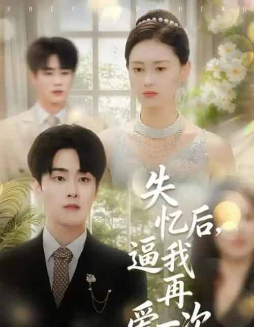 失忆后,逼我再爱一次(120集全)郭嘉琦&赵慧鑫-搜外项目网