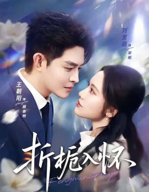 折栀入怀（82集全）王朝阳＆刘昱辰-搜外项目网