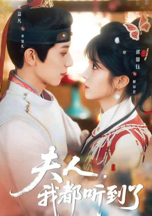 夫人，我都听到了＆夫人每天都想被休（100集全）宋益凡＆郭馨钰-搜外项目网