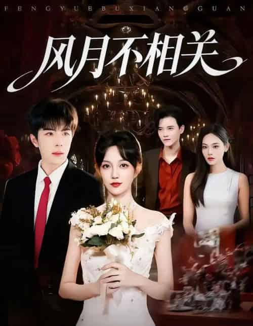 风月不相关（74集全）郭美林子＆刘哲宇-搜外项目网