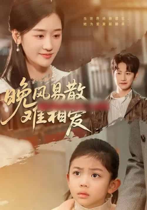 晚风易散难相爱(60集全)李思杨&余紫瑄-搜外项目网