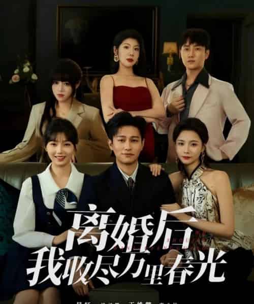 离婚后我收尽万里春光（80集全）王姝懿＆晁轩-搜外项目网