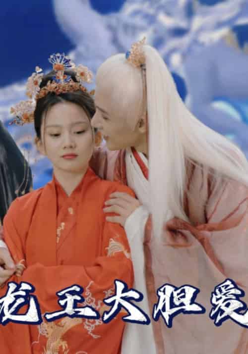 龙王大胆爱（26集全）白龙＆夏焱焱-搜外项目网
