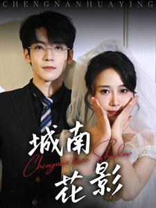 城南花影（45集全）李嘉豪＆惠一秋-搜外项目网