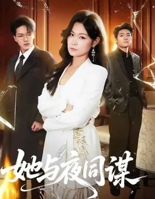 她与夜同谋（89集全）袁在峤＆刘舸-搜外项目网