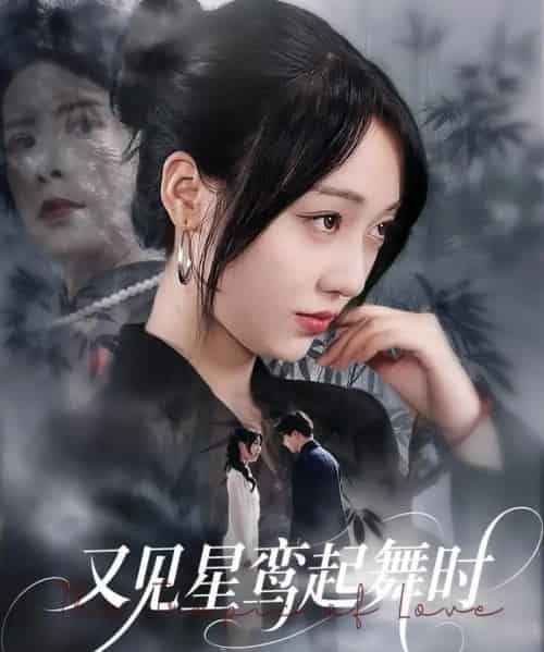 又见星鸾起舞时（85集）周恒宇＆李灼一-搜外项目网