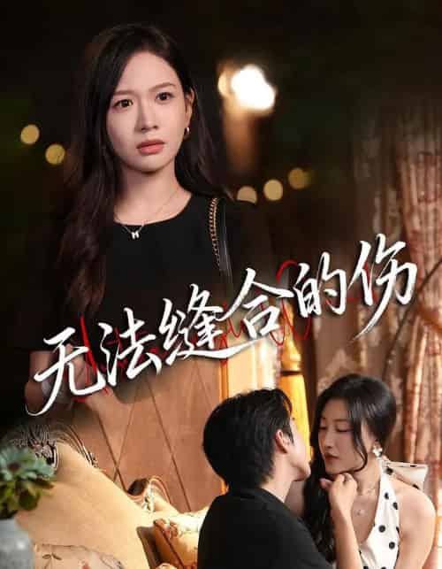 无法缝合的伤(45集全)王琳惠&天天-搜外项目网