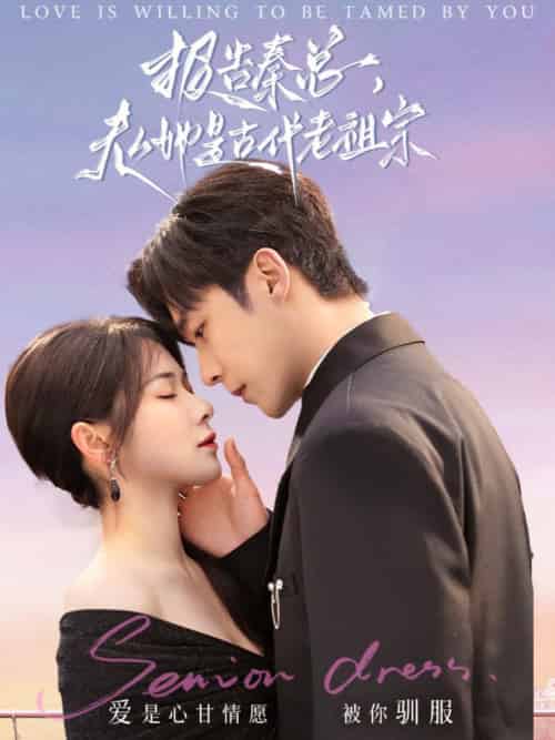 报告秦总，夫人她是古代老祖宗（65集全）李胜杰＆刘夕语-搜外项目网