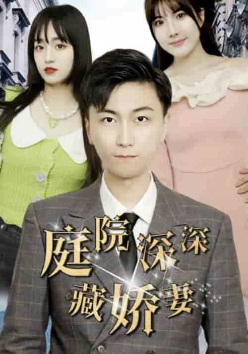 庭院深深藏娇妻（106集全）陆云深＆夏微暖-搜外项目网