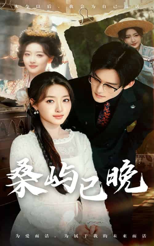 桑屿已晚（60集全）张力壬＆郭静-搜外项目网