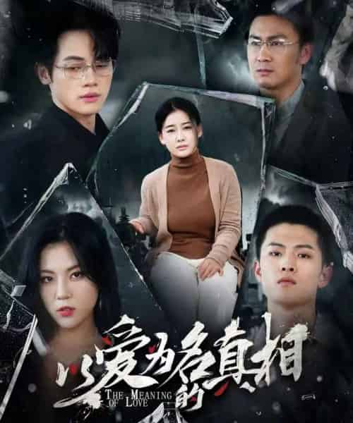 以爱为名的真相(70集)爱清然&唐子璇-搜外项目网