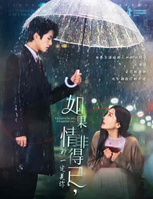 如果情非得已那一定是你（59集全）陈云廷＆孟璐-搜外项目网