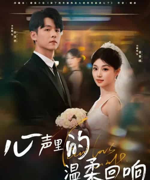 心声里的温柔回响(79集)李俊麟&刘曙瑞-搜外项目网