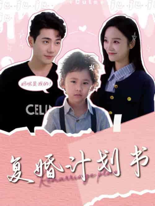 复婚计划书（96集全）李铂一＆李胜楠-搜外项目网