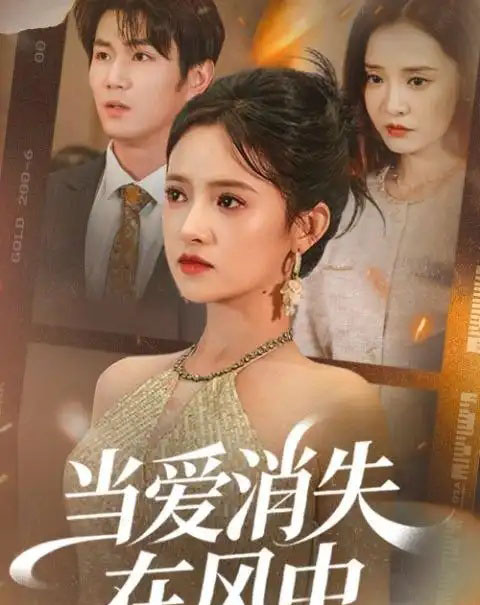 当爱消失在风中（73集全）吴梦媛＆宋骏-搜外项目网