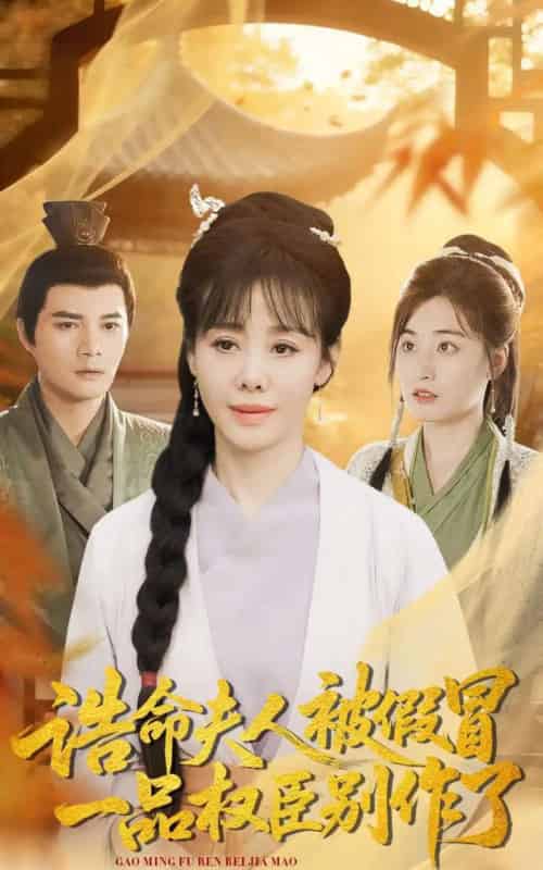 诰命夫人被假冒，一品权臣别作了（98集全）王铮＆黄骞-搜外项目网
