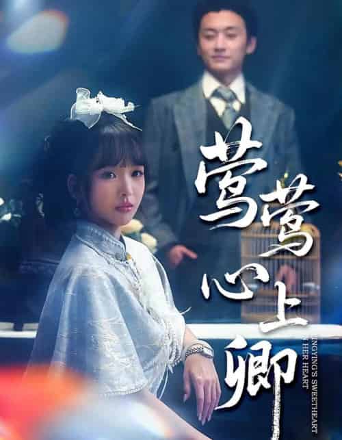莺莺心上卿(60集全)珑一&杨琳-搜外项目网