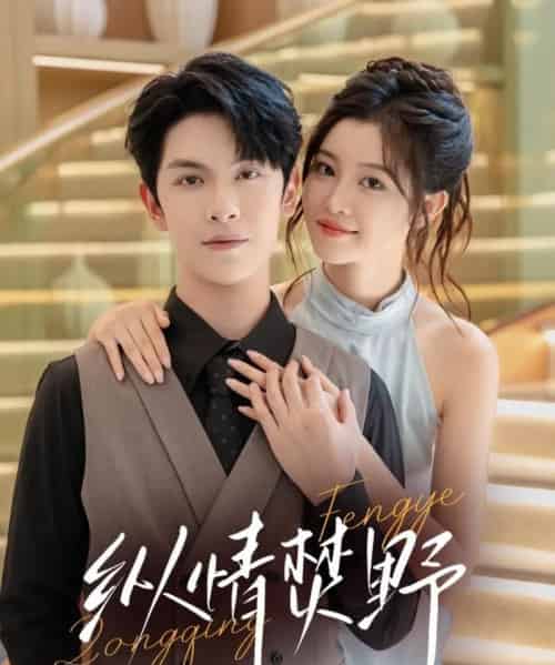 纵情焚野（72集全）张正越＆刘盈-搜外项目网